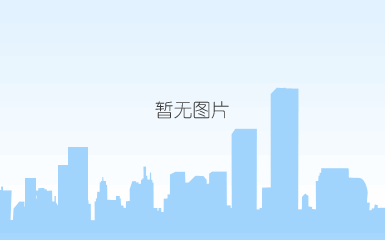 tsa海关系列指纹挂锁